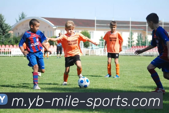 米乐体育APP 体育赛事宣传图